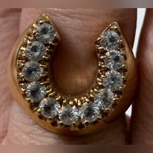 Gold Toned Horse Shoe